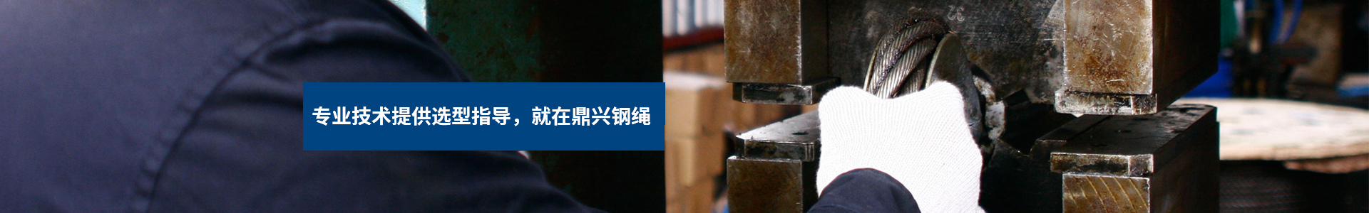 新聞動態(tài)